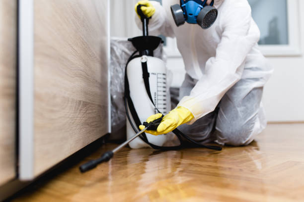 Best Pest Inspection Near Me  in Farmingville, NY
