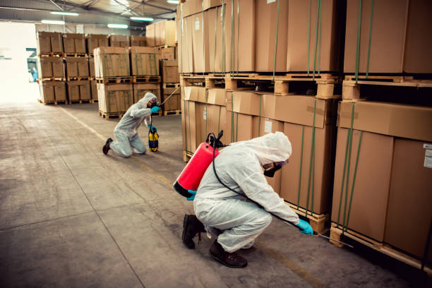 Best Pest Prevention Services  in Farmingville, NY