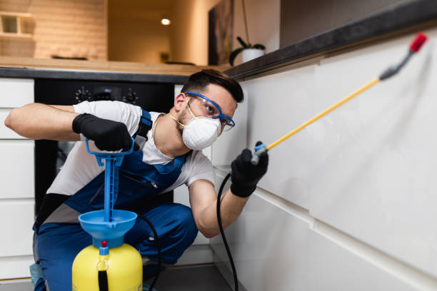 Best Cockroach Control Services  in Farmingville, NY