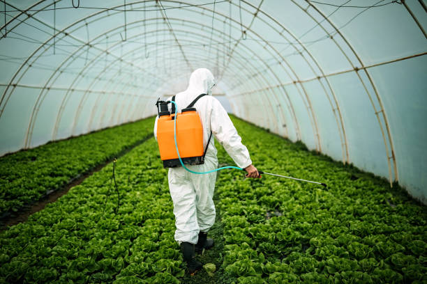 Best Best Pest Control Companies  in Farmingville, NY