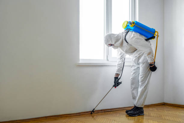 Best Exterminator Services  in Farmingville, NY