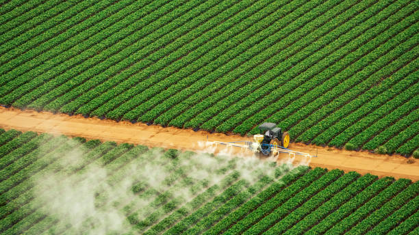 Best Residential Pest Control  in Farmingville, NY