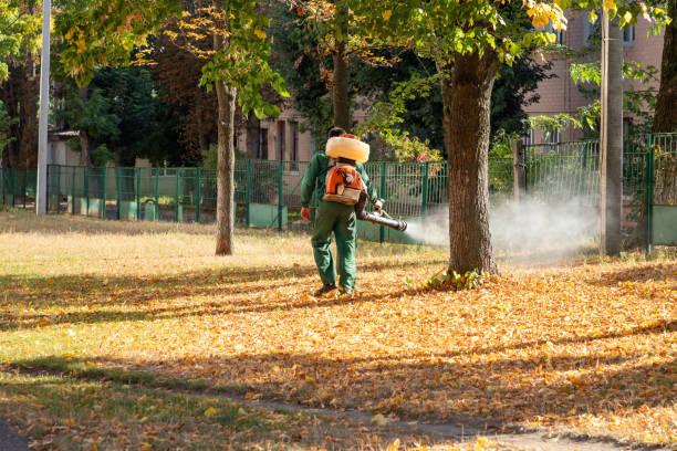Best Residential Pest Control  in Farmingville, NY
