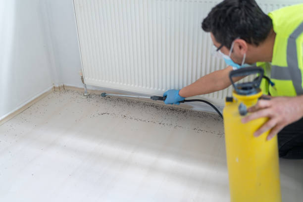 Best Emergency Pest Control  in Farmingville, NY