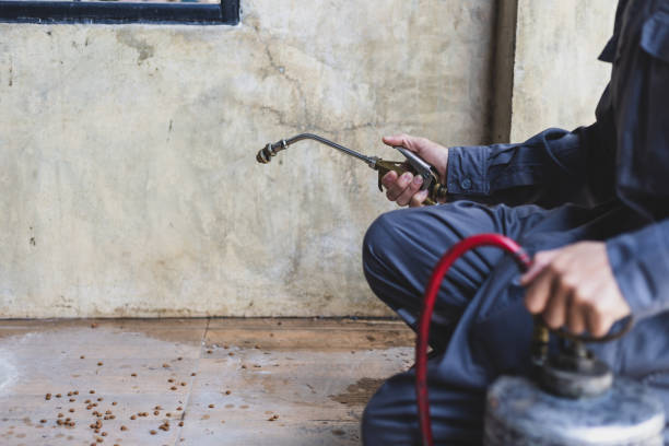 Best Local Pest Control Services  in Farmingville, NY